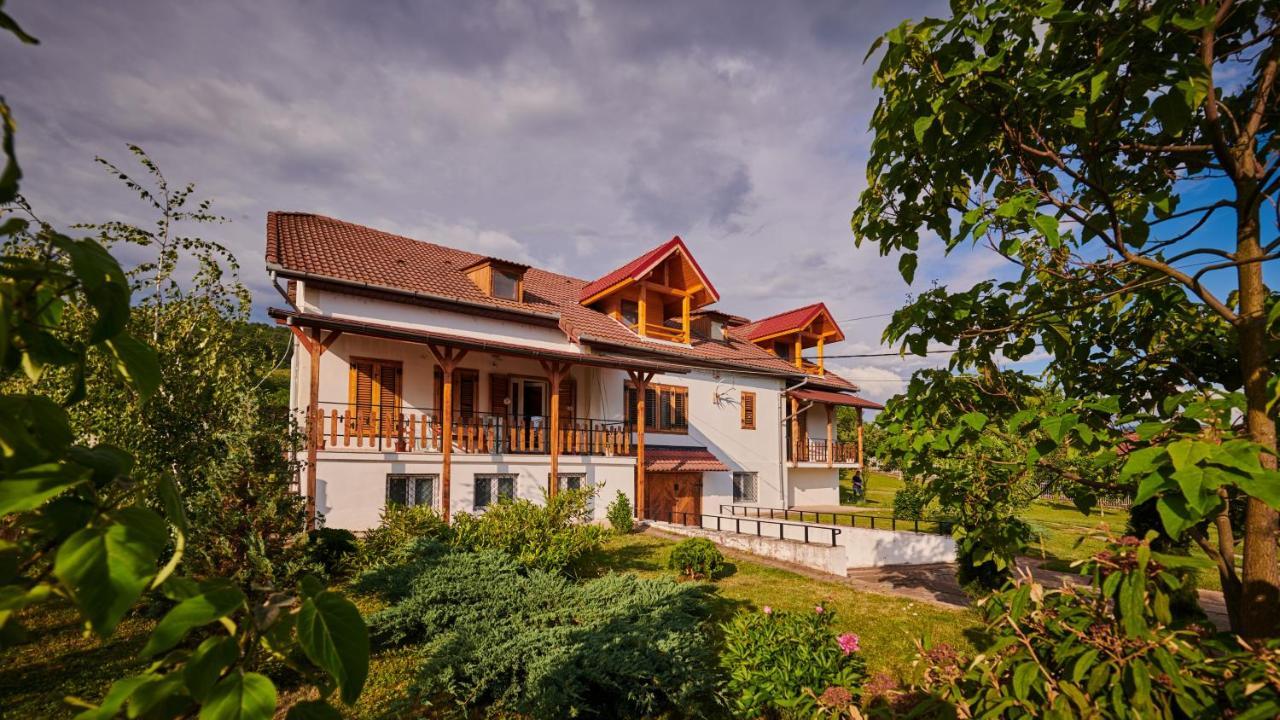 Vila Tara Hategului Exterior foto
