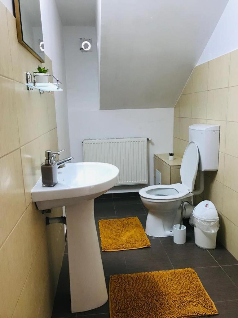Vila Tara Hategului Habitación foto